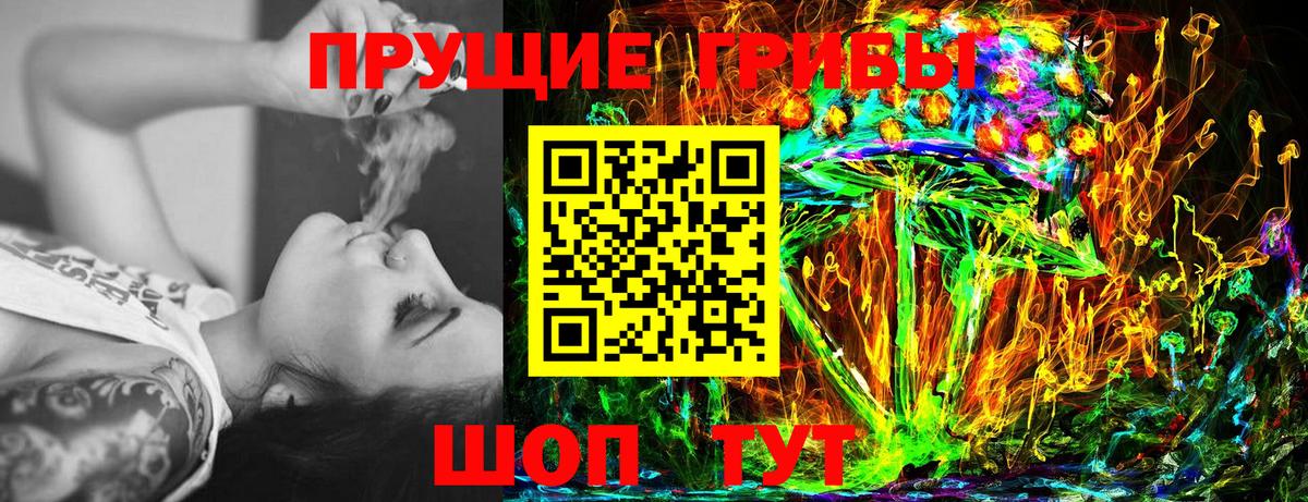 Псилоцибиновые грибы ЛСД  Псилоцибиновые грибы Magic Shrooms  Вход с VPN  Кисловодск 