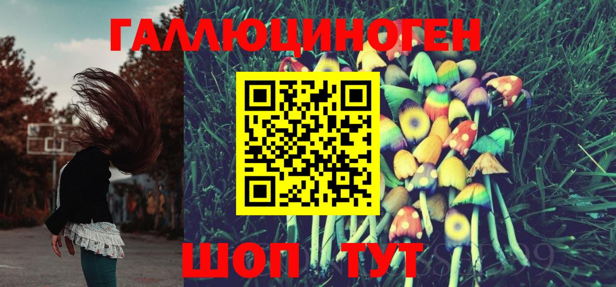 Галлюциногенные грибы Cubensis Кисловодск